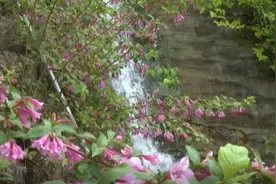 中国旅游日——带你去“天然氧吧”一探究竟图片