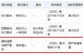 爷青结，被申请破产的小霸王再难“其乐无穷”图片