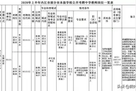 507个岗位，今起报名！2020年上半年内江教师招聘——图片