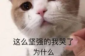 美术生最吃香的专业，你了解吗？图片