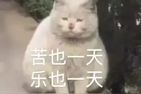 天呐！这样上厕所好舒服，我以前怎么不知道图片