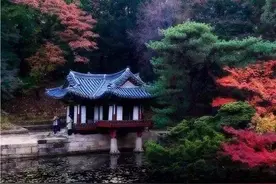 亭、台、楼、阁、轩、榭、廊、舫，尽显古韵之美图片