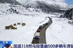 交通一度中断！国道318线西藏昌都境内然乌段突发雪崩图片