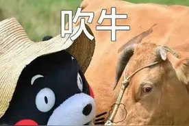 堂哥经常爱在我面前吹牛，我揭穿他的话，会不会连兄弟都没得做？图片