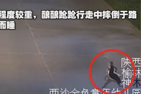 陕西神木一高中生凌晨醉躺路面昏睡，遭醉驾司机碾压身亡图片