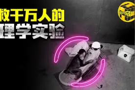 残忍无比的科学实验 拯救了无数家庭 母亲对孩子意味着什么？图片