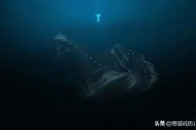 逼死深海恐惧症的这部纪录片，带你看南极深处究竟有什么巨型怪物图片
