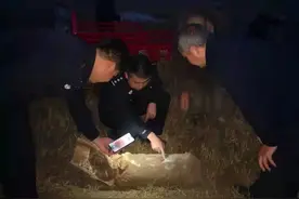 兴平警方处置一枚航空炸弹 初步判断是侵华日军投掷的图片