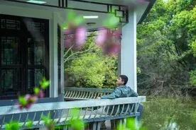 江苏春游好去处，南通这里的春天真是百花齐放图片