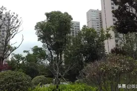 钢筋混凝土结构外墙保温 ……聚氨酯复合保温板图片