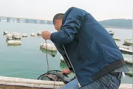 阿烽出海抓了不少海货，回家全煮了，这才是真的“海鲜大餐”视频封面