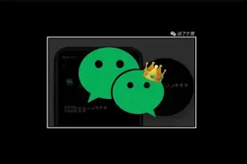 微信功能升级：个人主页能放视频了，还能显示“微信等级”？图片