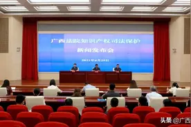 广西高院发布2020年广西法院知识产权司法保护状况白皮书图片