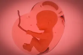 关注新生儿脐部护理，呵护宝贝健康成长图片
