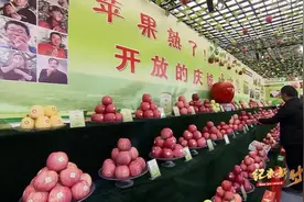 中央广播电视总台发现之旅频道播出《纪录新时代之走进庆阳》图片