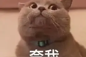 皮肤科医生实名推荐的美白成分，大家别错过图片