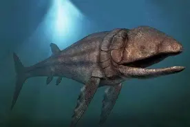 地球历史上出现过超级巨大的生物图片