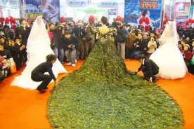 中国制造：2900根孔雀毛编成天价婚纱，价值150万美元，惊艳世界图片