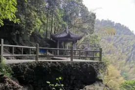 男童小便被踹，其母与对方撕扯跌落山崖，起诉对方故意伤害被驳回图片