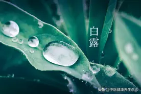 白露节气养生法则：滋阴润肺“吃三白”，补水润肤可饮茶图片