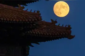 古琴独奏《良宵引》清风入弦，绝去尘嚣，值得一听图片