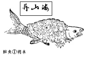 山海经西山经全怪兽图解2图片