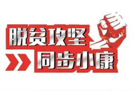 南阳市桐柏县：“最美支书”变身“网红”朋友圈帮群众卖鹅图片