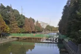 设计细节公开！仙桃这座桥拆除重建，明年通车图片