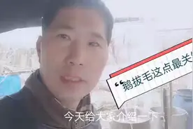 杀鹅拔鹅毛这一点才是最关键的，掌握不好的话，鹅就废了视频封面