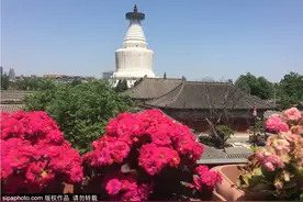 胡同记忆 | 胡同特殊角度发现京城之美，这些出片机位必来打卡！图片