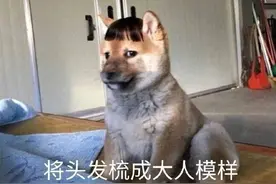 你知道BMW是什么意思吗？以前从不觉得，如今算是明白了图片