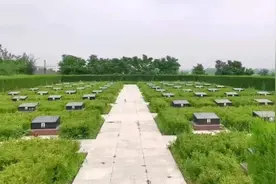 生死和你在一起——九位开国将军归葬塔山记图片