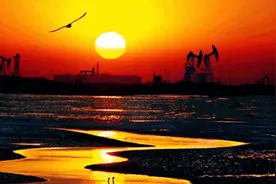 黄河入海口地区的三次经济大开发图片