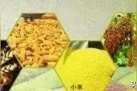 电子秤做手脚？不法收粮贩子的骗术不止如此图片