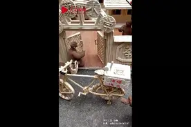 独具匠心！小伙6400根筷子还原母校图片