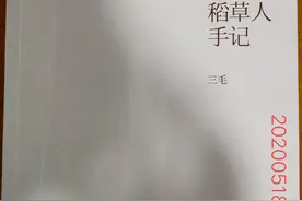 三毛——稻草人手记图片