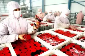 邯郸：鸡泽以高效农业为乡村振兴插上腾飞之翼图片