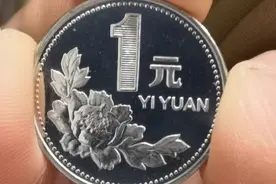 剖析牡丹一元的收藏价值，你手里还有这种一元硬币吗图片