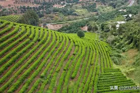两岸交流基地纵览：广东梅州市图片