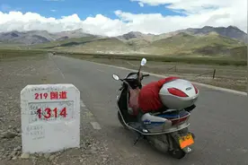 骑一辆小踏板去珠峰大本营，这个河南退休阿姨单人摩旅西藏，牛图片