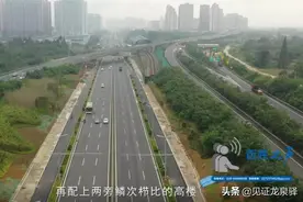 让成洛大道“跑”起来！我们想听你来“吐槽”图片