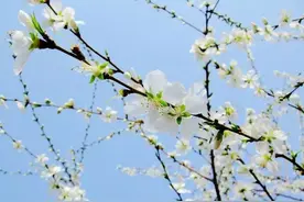 又是一年防汛时！防汛科普图解图片