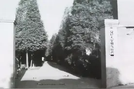 【记忆】建筑可阅读：复旦这些老建筑的故事历久弥新，你知道哪些？图片
