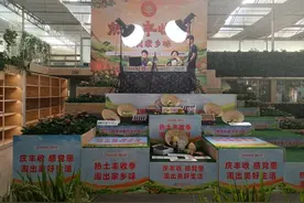 “跑步鸡”、面艺花饽饽……这些“脑洞大开”的农产品你见过吗？图片
