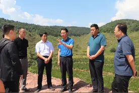 原光辉调研交通工程建设图片