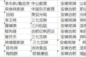 最新榜单出炉！安徽“首富”是他！身家658.4亿元…图片