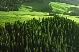 人生最重要的是选择：高质量的生活是挑选出来的图片