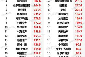 谁是山东地产一哥 地头蛇知多少图片