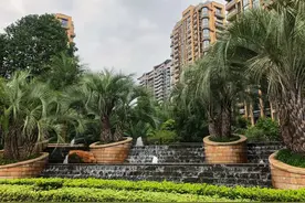 上千人带小板凳通宵排队买的万家花城，热带风情园林太经典图片