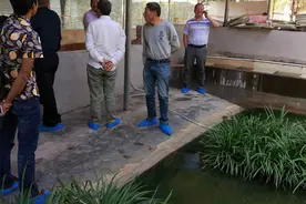 2年前市场火爆，养殖户发了财，如今百元一斤，农民却不敢养了图片